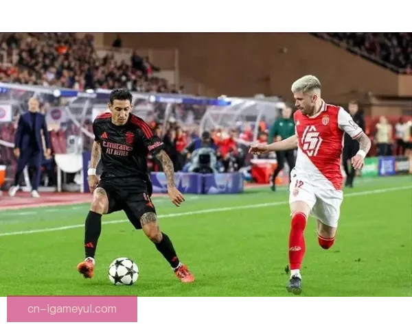 迪马利亚难选本菲卡或皇马左右